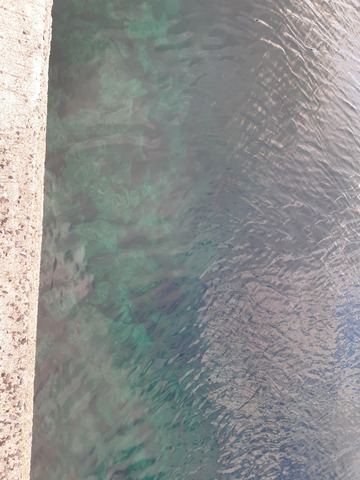 20190727_184006_001
