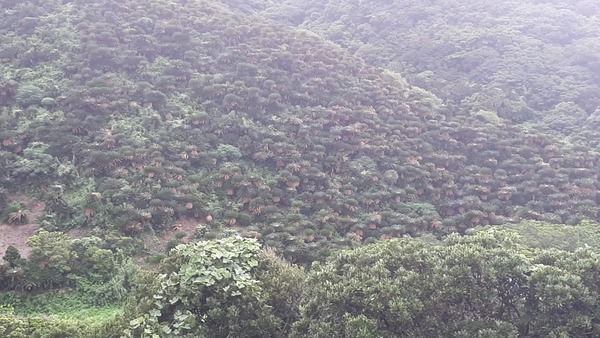 VideoCapture_20211202-222058