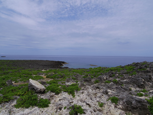 IMGP2382