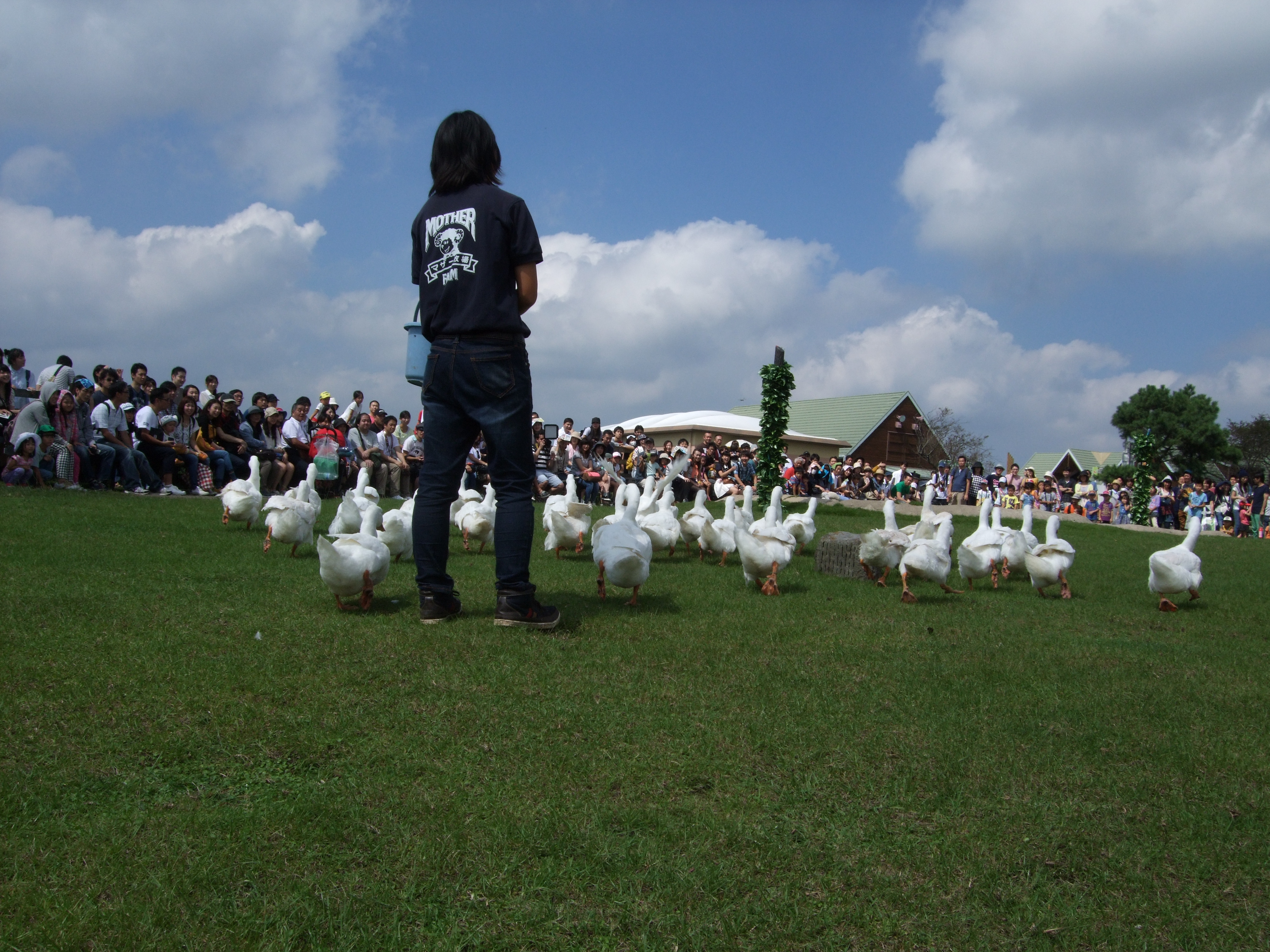 DSCF7852