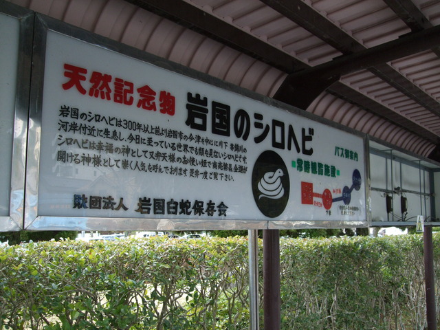 DSCF4351
