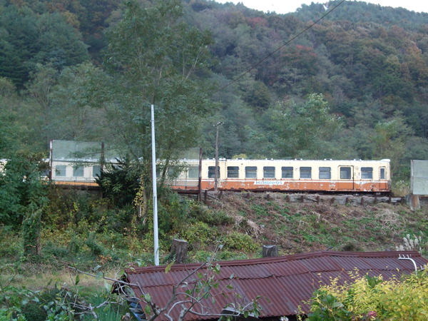 DSCF8404