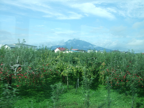 DSCF7060