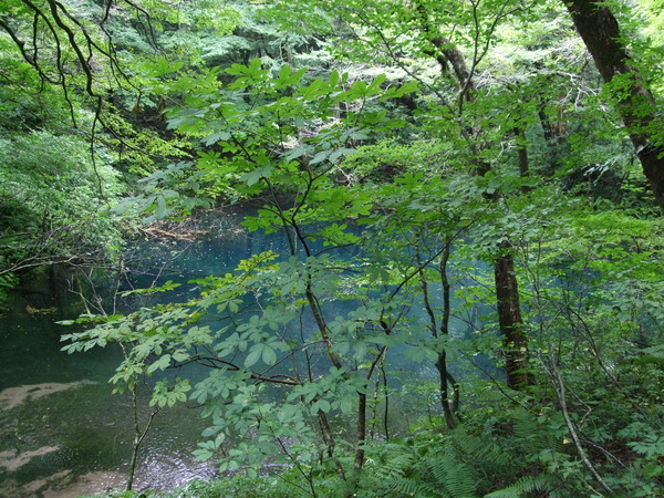 DSCF7129
