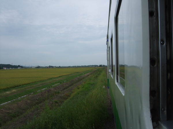 DSCF3348