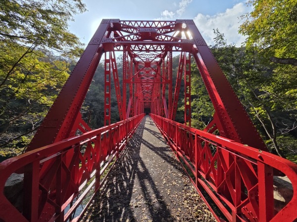 【期間限定】芸備線で途中下車！東城駅から無料バスで行く帝釈峡の絶景旅