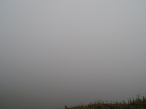 IMGP7338
