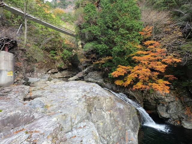 吊り橋が怖い 秘境 天川村みたらい渓谷を観光してきました ドライブにおすすめ あいまいだいありー