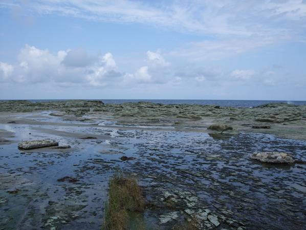 DSCF7082