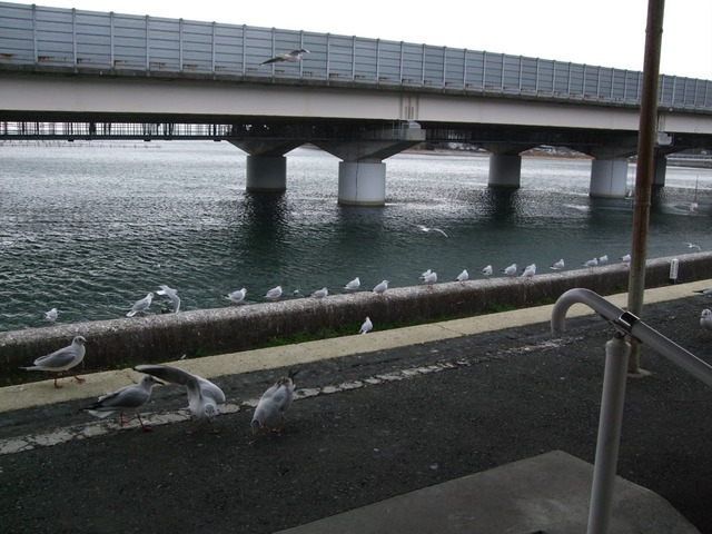 line_308585598115930