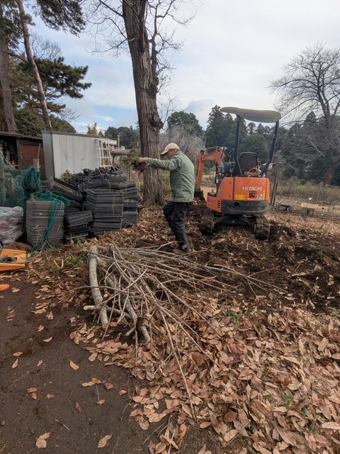 PXL_20260107_050123989