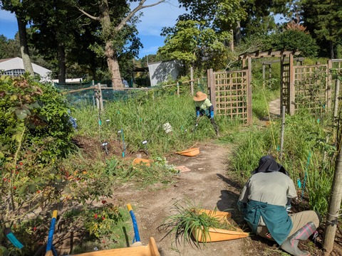 PXL_20251002_050018645