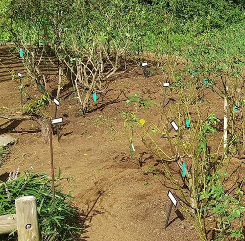 InCollage_20230908_033132380