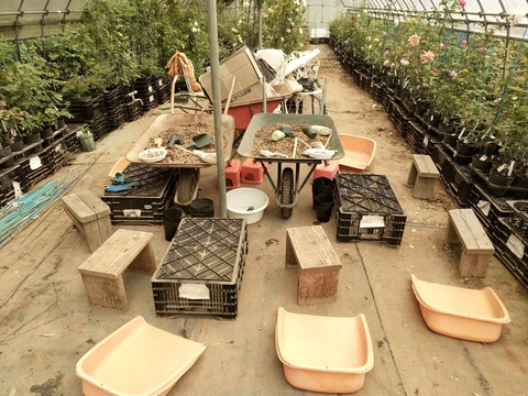 1713959316939_1713959282007_3_DSC_0270