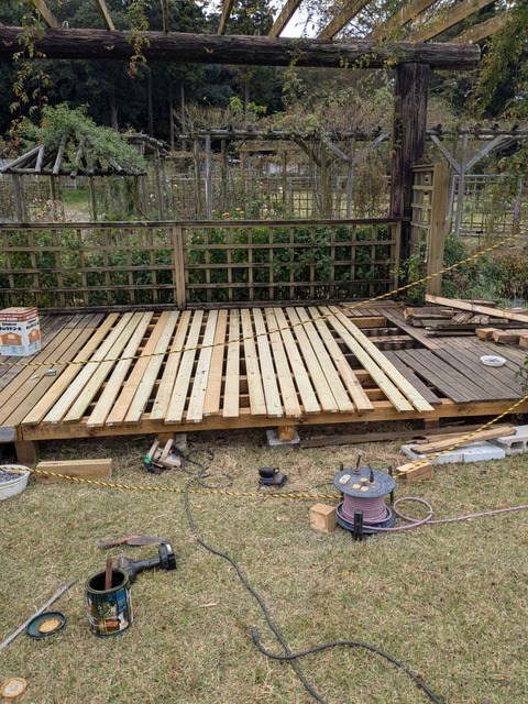 PXL_20241114_041214029