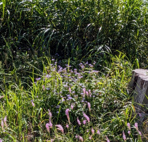 PXL_20250924_042747467~2