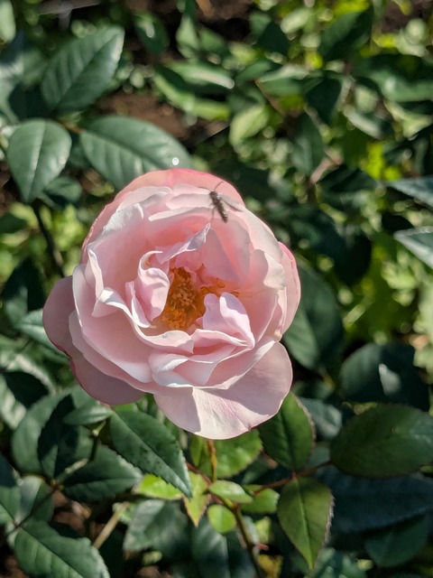 PXL_20251030_042154725