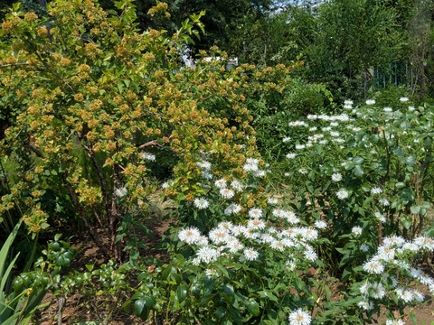 PXL_20250702_042315475