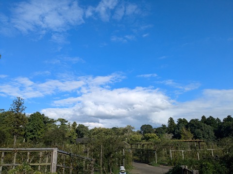 PXL_20240905_063755297