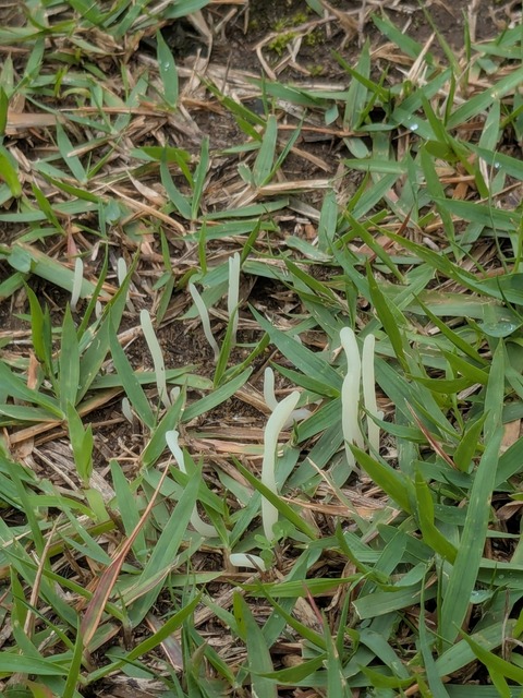 PXL_20260702_042715040