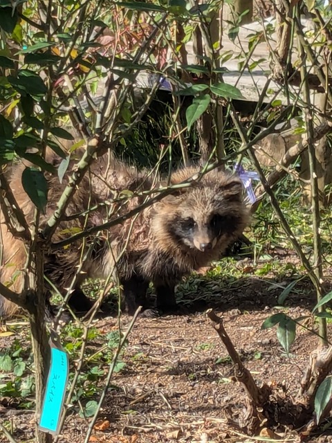 PXL_20241225_022916834