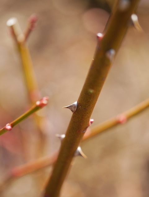 P2080194
