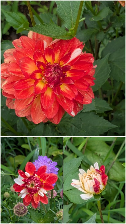 20260624_165058-COLLAGE