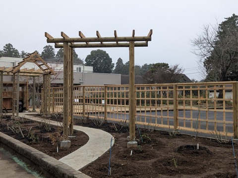 PXL_20251225_061847979