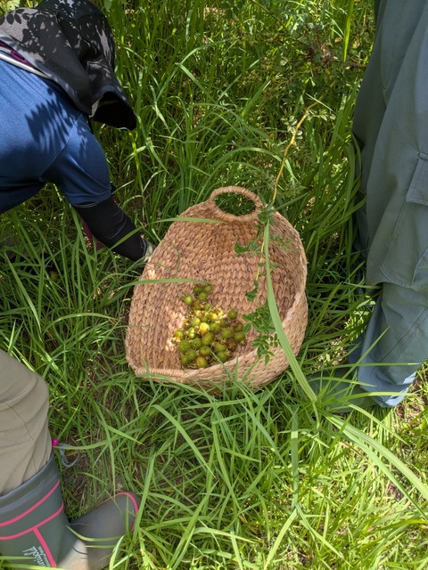 PXL_20250731_011847862