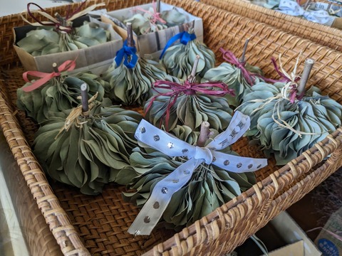 PXL_20231109_010022751