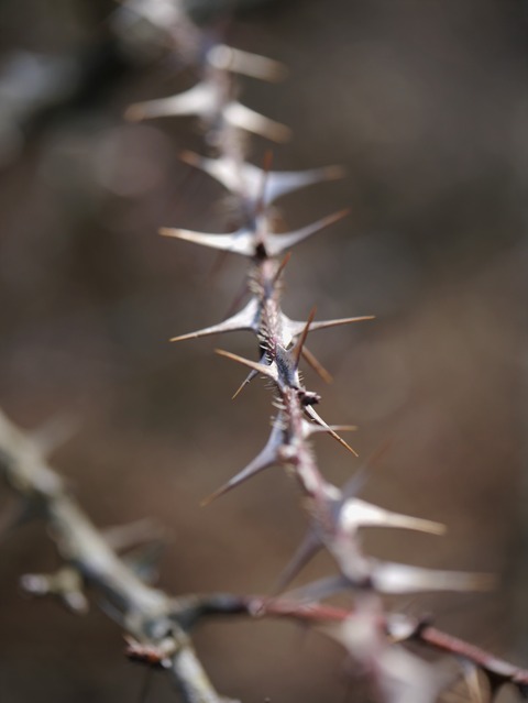 P2080169