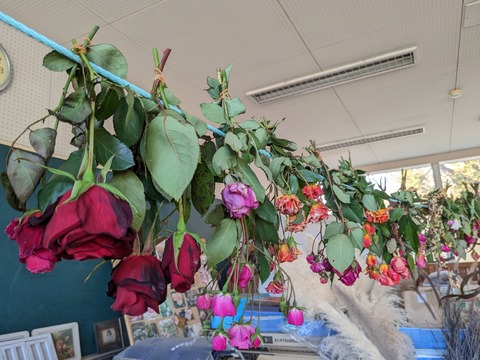 PXL_20231207_055658917