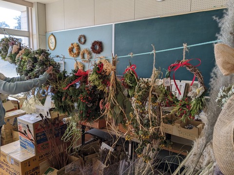 PXL_20231109_005932030