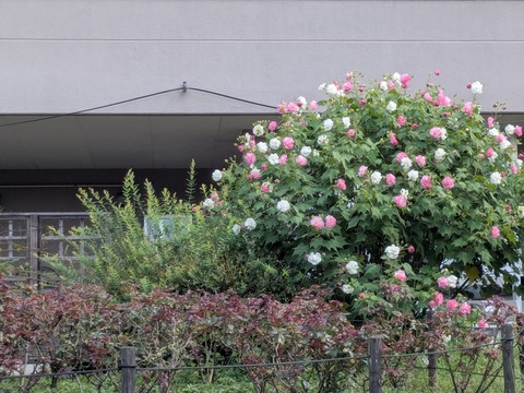 PXL_20250924_031945998