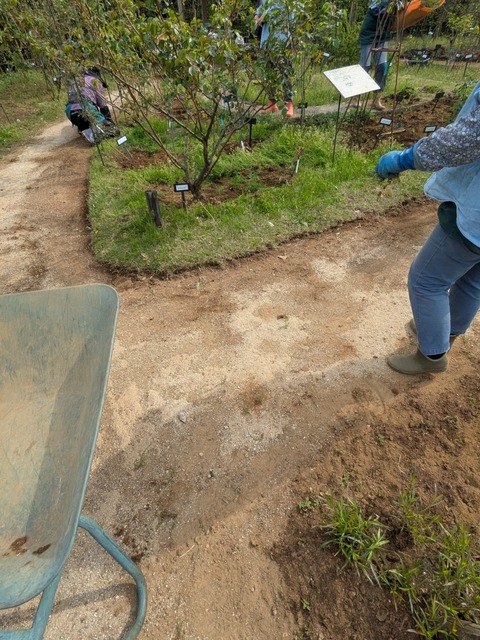 PXL_20250417_055925307