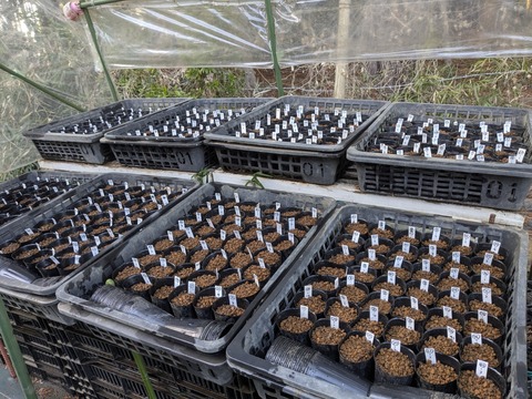 PXL_20250307_060736622