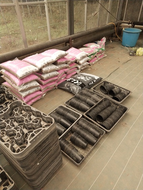 HORIZON_0001_BURST20240329133058188_COVER