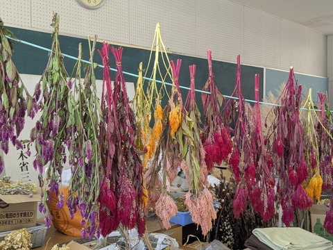 PXL_20251120_030803542