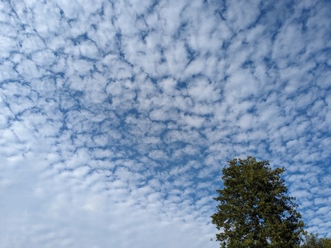 PXL_20231005_061528980~2
