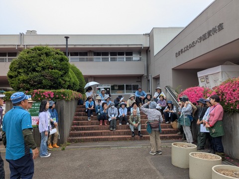 PXL_20250529_050741723