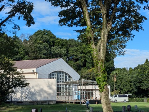 PXL_20240905_064010179