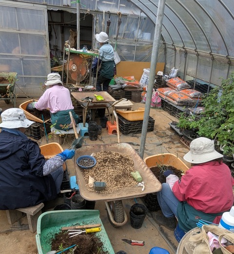 PXL_20251113_050709924