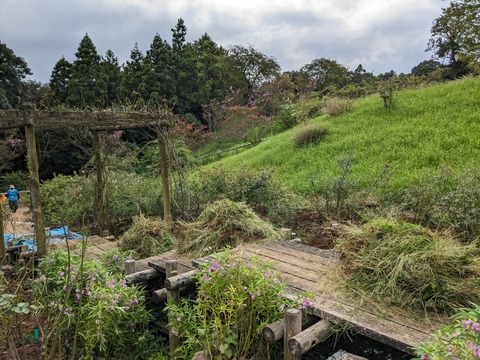 PXL_20230907_055157440