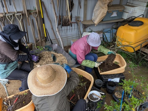 PXL_20251113_050810141