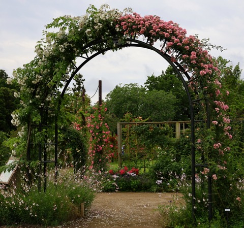 InCollage_20240602_184536601