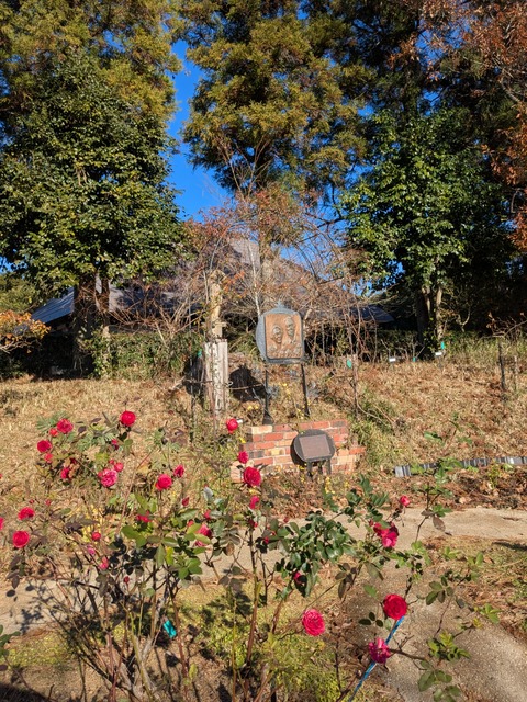 PXL_20251218_042316232