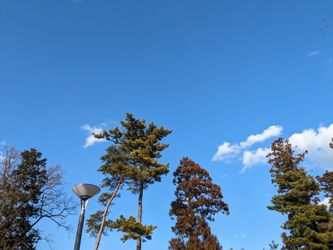PXL_20240208_062449284