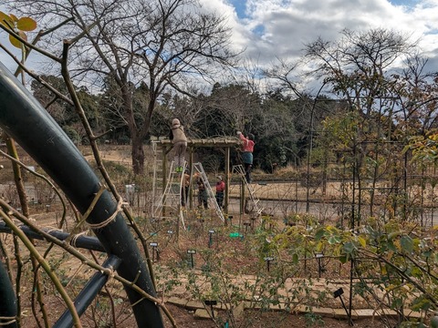 PXL_20240201_052341908