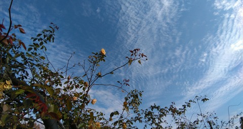 DSC_1856~2