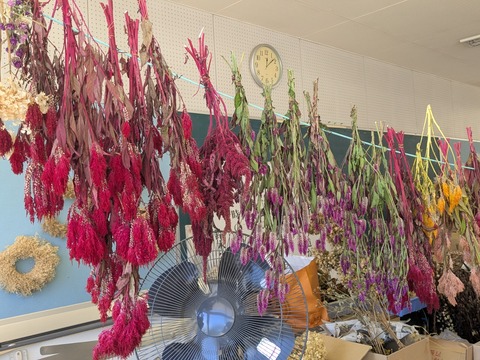 PXL_20251120_030824755